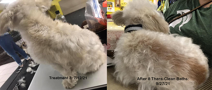 Bert showing progress